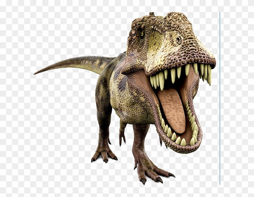 Dinosaur Transparent - Dinosaur Non Fiction Book Clipart #3014486