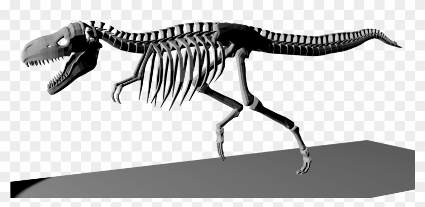 Skeleton , Png Download - Rib Clipart #3015802