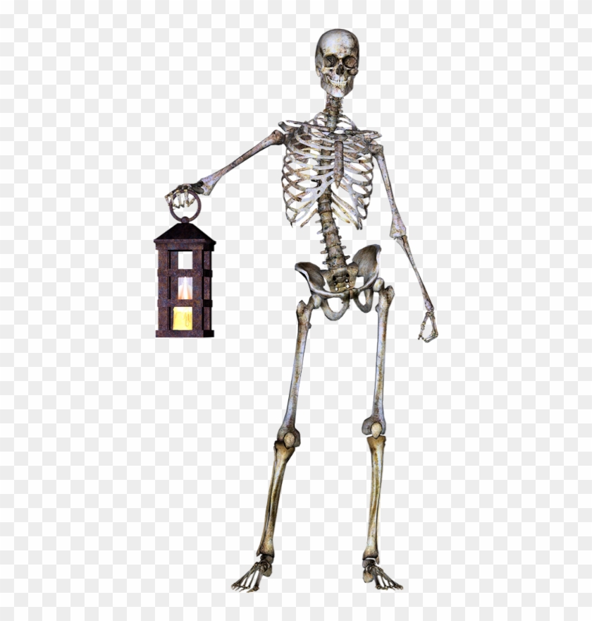 Skeleton Clipart #3015811