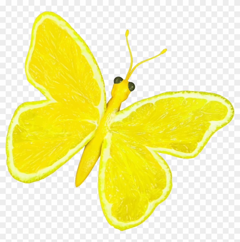 This Free Icons Png Design Of Citrus Fruit Butterfly - Lemon Butterfly Clipart