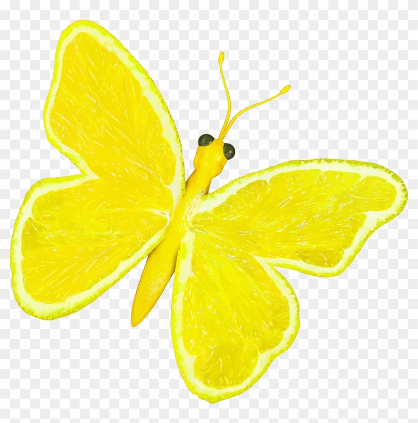 This Free Icons Png Design Of Citrus Fruit Butterfly - Lemon Butterfly Clipart #3016603