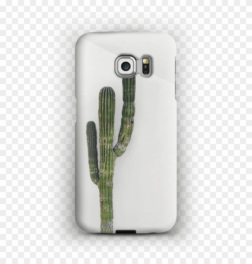 The Single Cactus Case Galaxy S6 Edge - Weberocereus Clipart