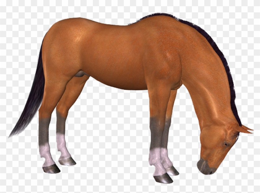 Png Horse, Png At, Png Horse Images, Png At Resimleri, - Photoshop Clipart