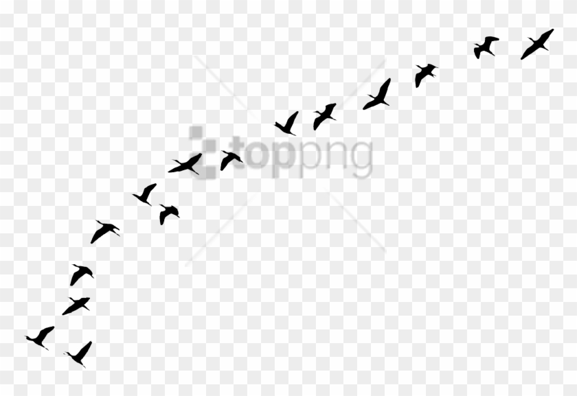 Free Png Flying Birds Tattoo Png Image With Transparent - Aves Volando Png Clipart #3019462