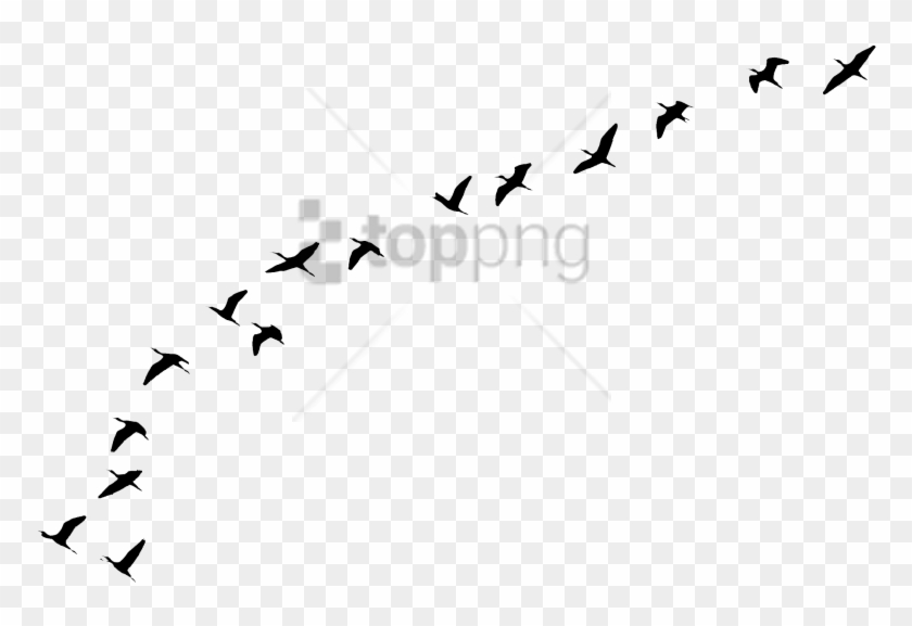 Free Png Flying Birds Tattoo Png Image With Transparent - Aves Volando Png Clipart