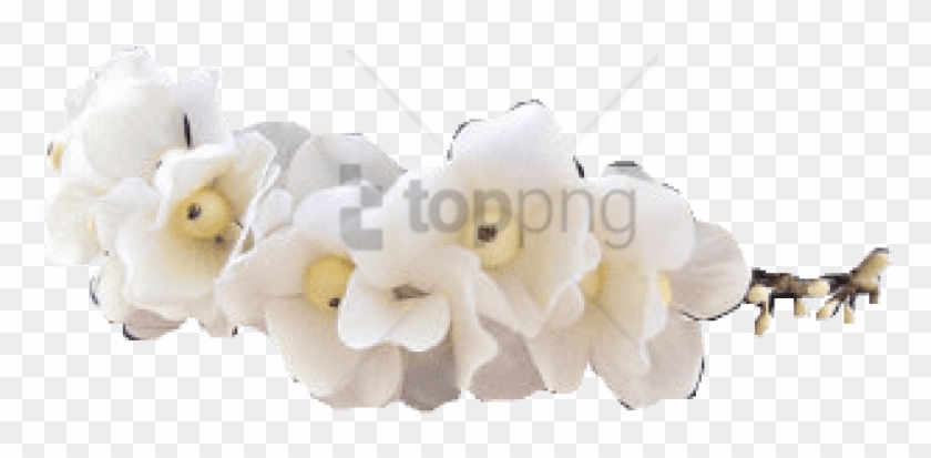 Free Png Tumblr Transparent Flower Crown Png Image - Flower Crown White Png Clipart