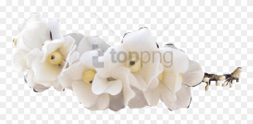 Free Png Tumblr Transparent Flower Crown Png Image - Flower Crown White Png Clipart #3019501