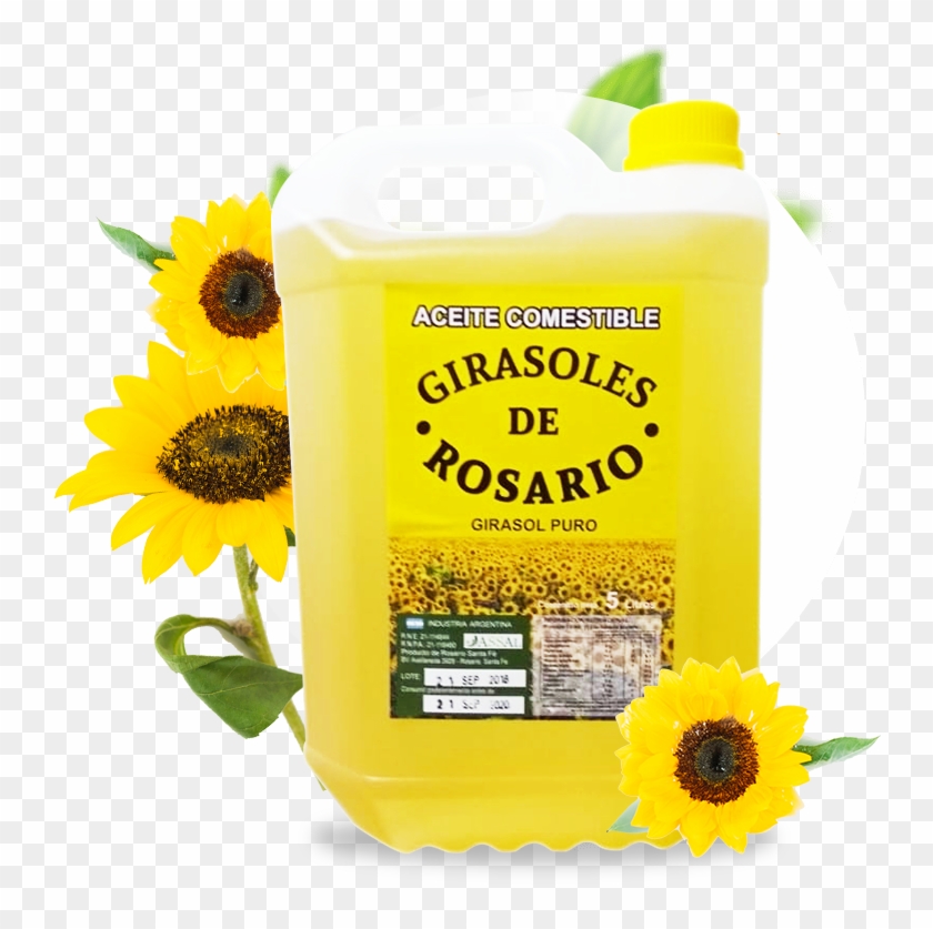 Home Oil Pic Real Clipart