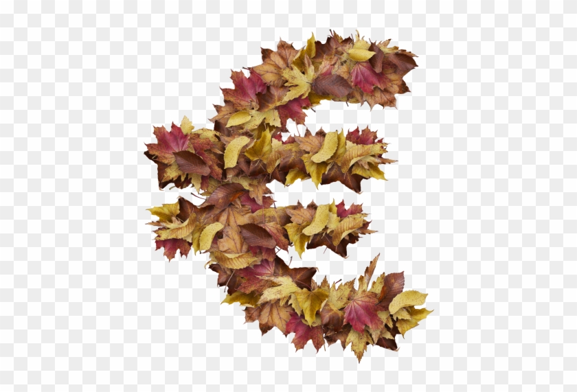 Euro Symbol With Dry Leaves - Cattleya Clipart