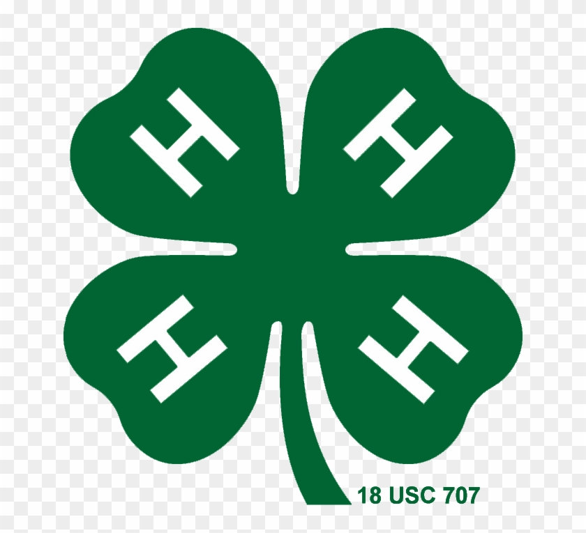 Twitter Logo Png Transparent Background Clipart