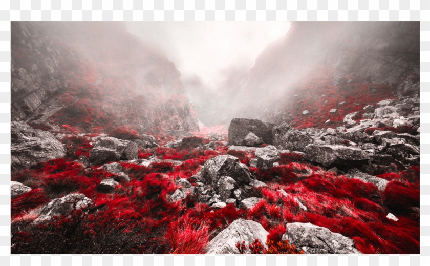 Score 50% - Hd Photoshop Editing Background Clipart