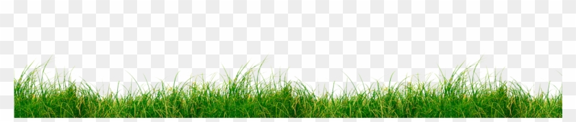 Grass Section Png Clipart
