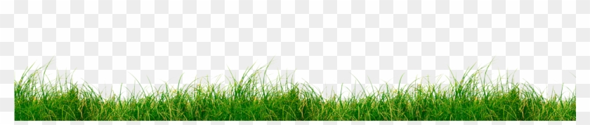 Grass Section Png Clipart #3022365