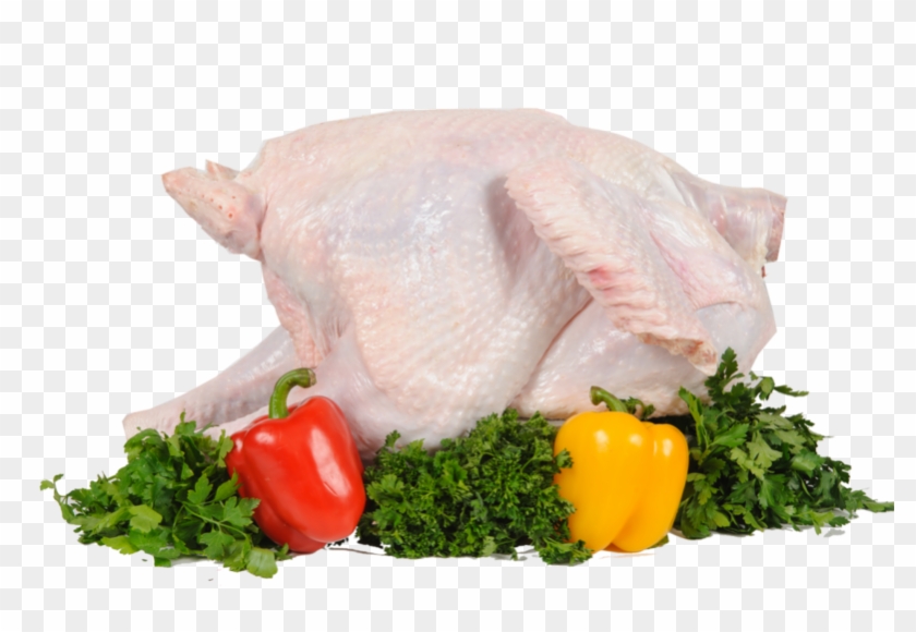 Turkey Food Png, Download Png Image With Transparent - Индейка Тушка Мясо Пнг Clipart #3025013