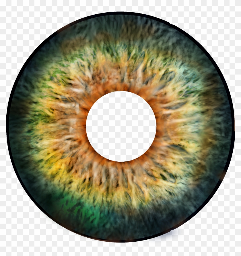 Eyeball Clipart Eye Forward - Circle - Png Download