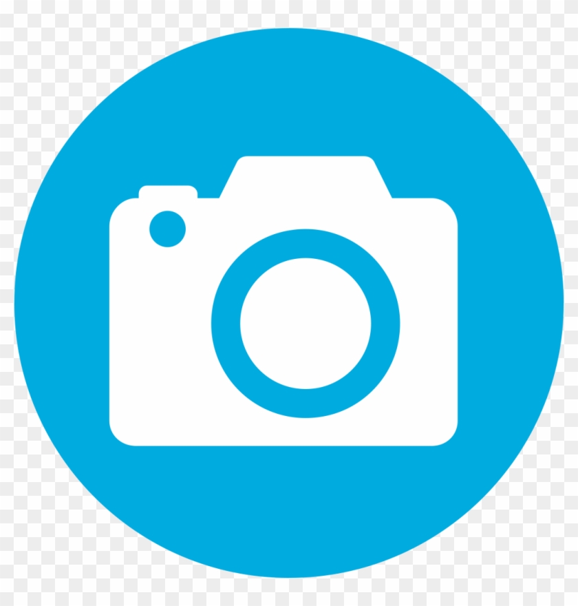 Petatan White Pelican Colony - Twitter Logo Round Png Clipart