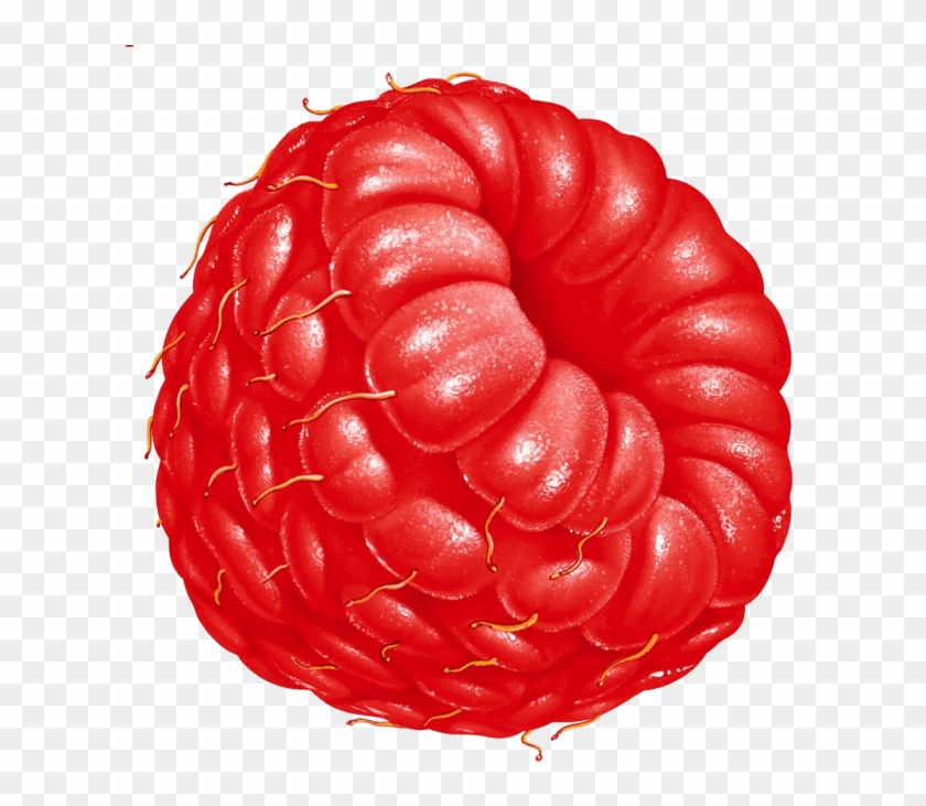 Download High Resolution Png - Fruit Clipart Transparent Png #3027219