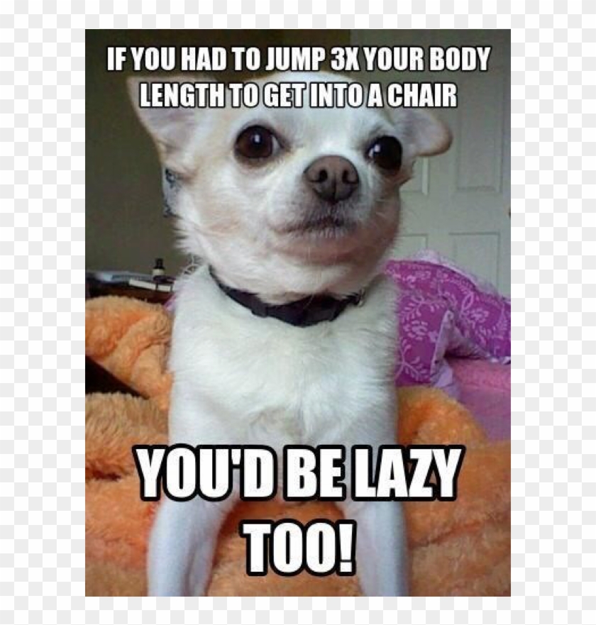 Clean Memes 03 29 2019 Morning - Memes About Correcting Grammar Clipart