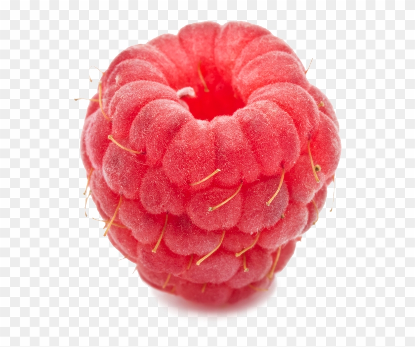 Frutti Di Bosco Clipart