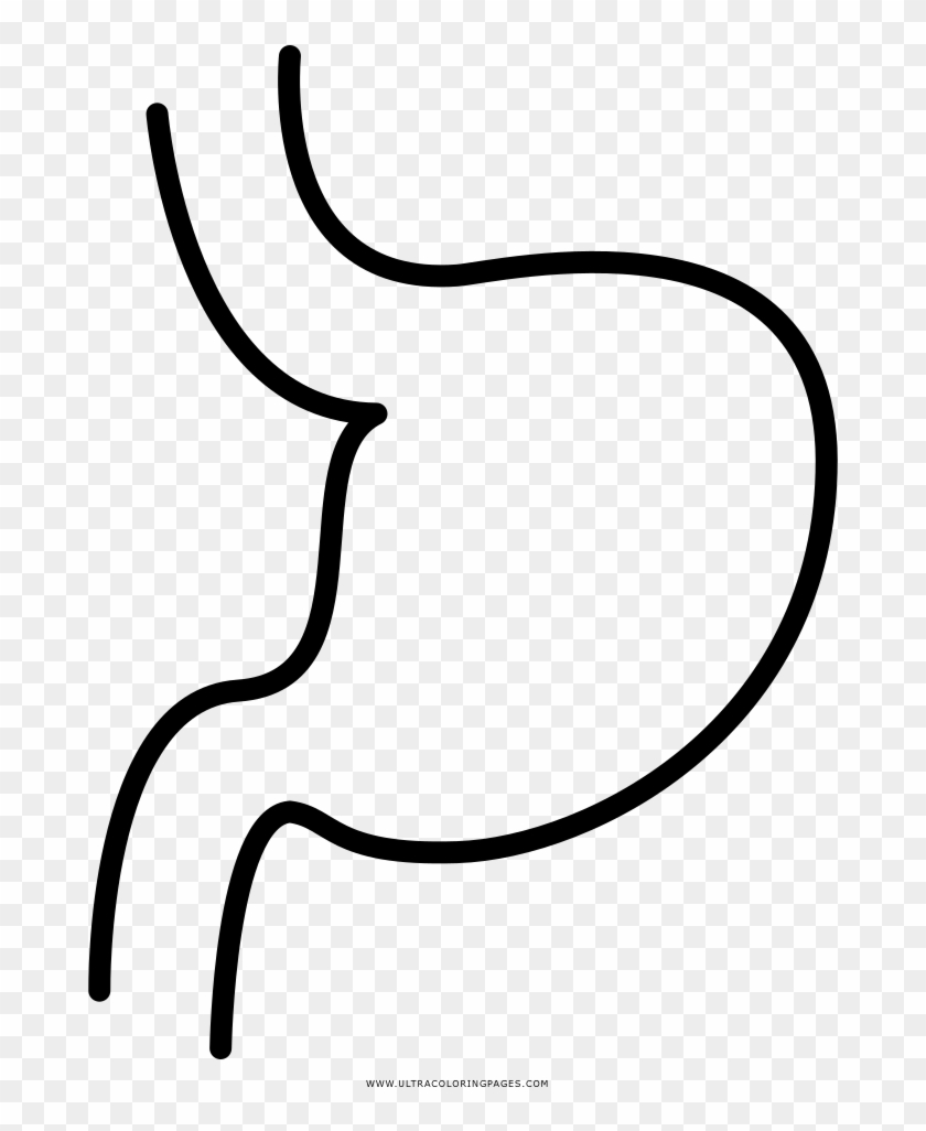 Stomach Coloring Page - Line Art Clipart #3028824