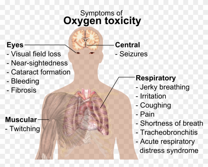 Symptoms Of Oxygen Toxicity - Oxygen Toxicity Clipart #3028957