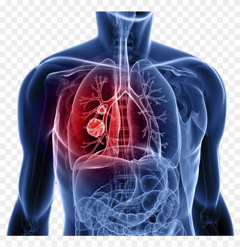 Services And Its Treatments Clipart #3028966