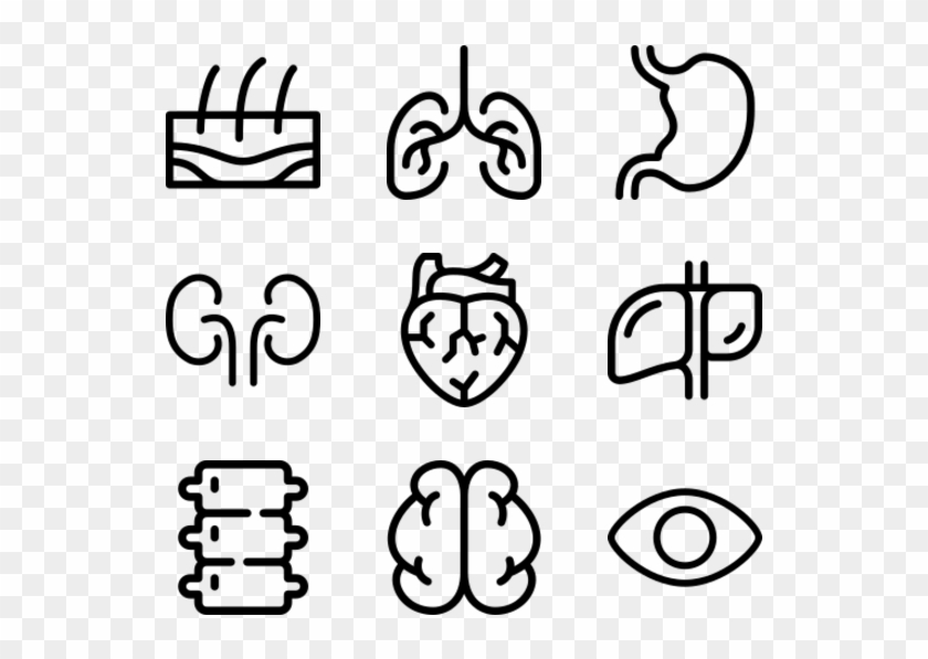 Human Organs - Line Art Clipart