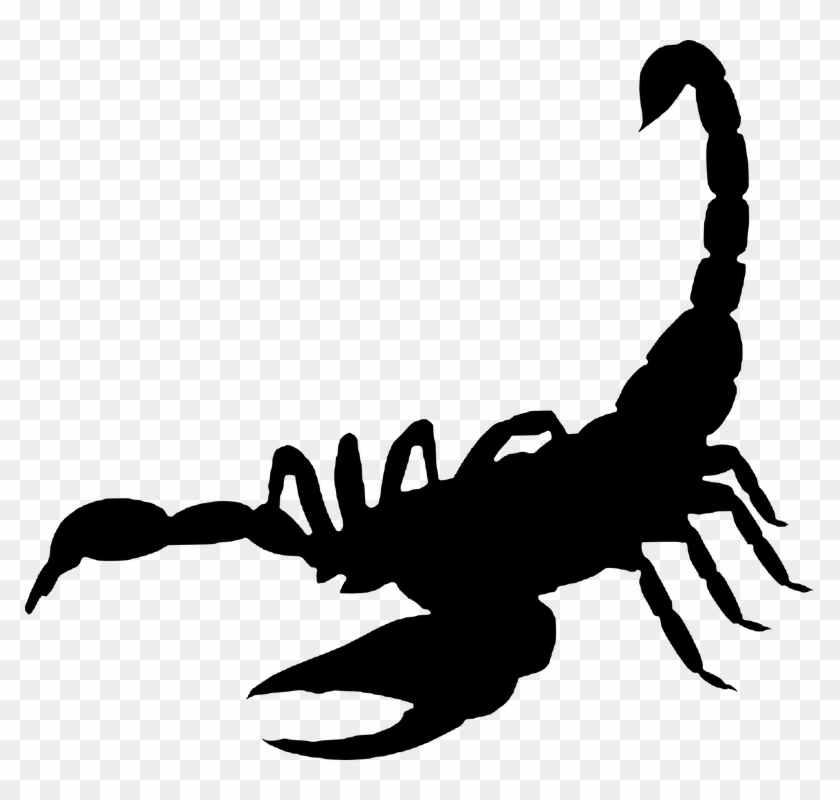 Scorpion, Arachnida , Silhouette - Vis A Vis Frases Clipart #3029018