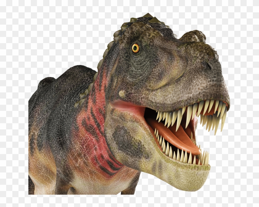 Фото, Автор Soloveika На Яндекс - Imagens De Dinossauro Sem Fundo Clipart