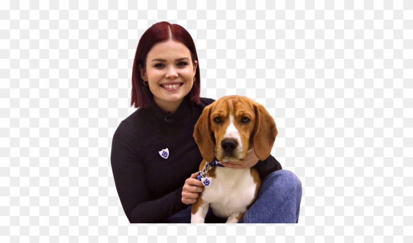 Blue Peter - Beagle Clipart #3030463