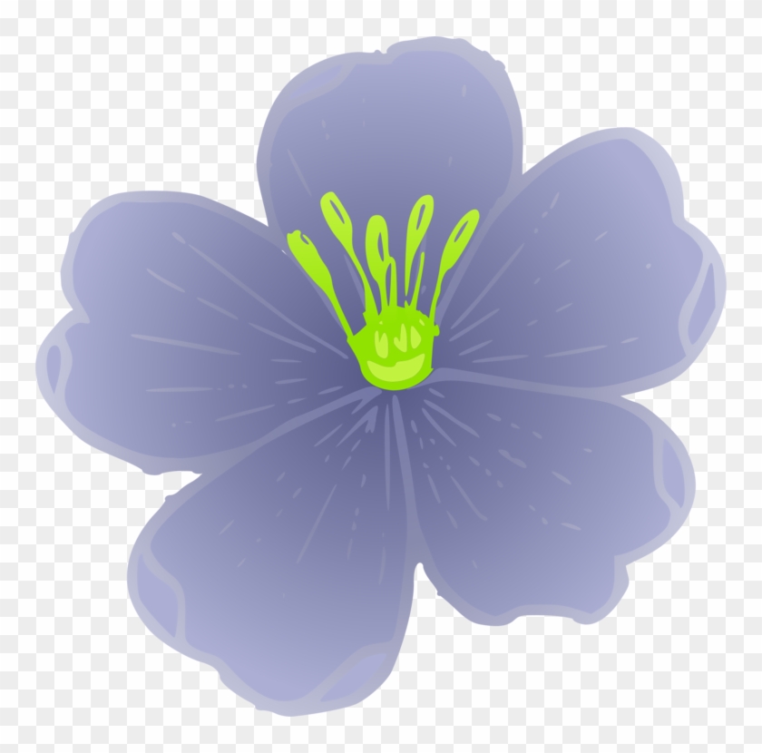 Lewis Flax Linum Perenne Flower Plants Clipart