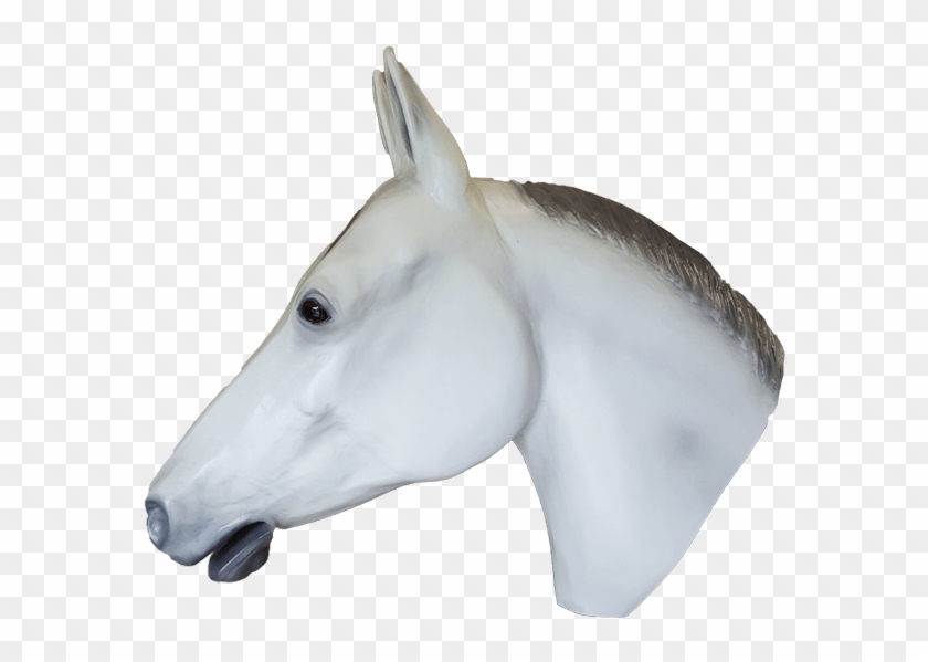 Life Size Display Grey Quarter Horse Head Looking Left - Stallion Clipart