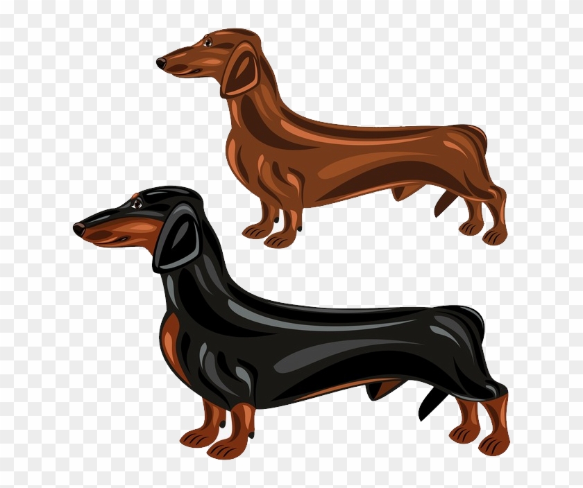 Dachshund Poses Clipart #3031860