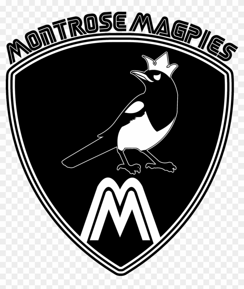 Quidditchteams Hashtag On Twitter Png Logo Png Bird - Quidditch Uniform Montrose Magpies Clipart