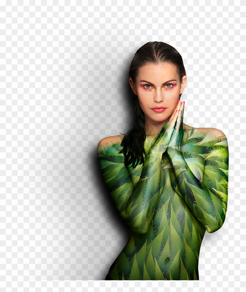 Design - Photo Shoot Clipart #3032728