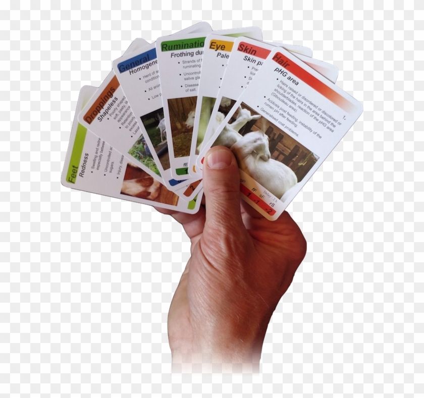 About Obsalim - Flyer Clipart #3033865