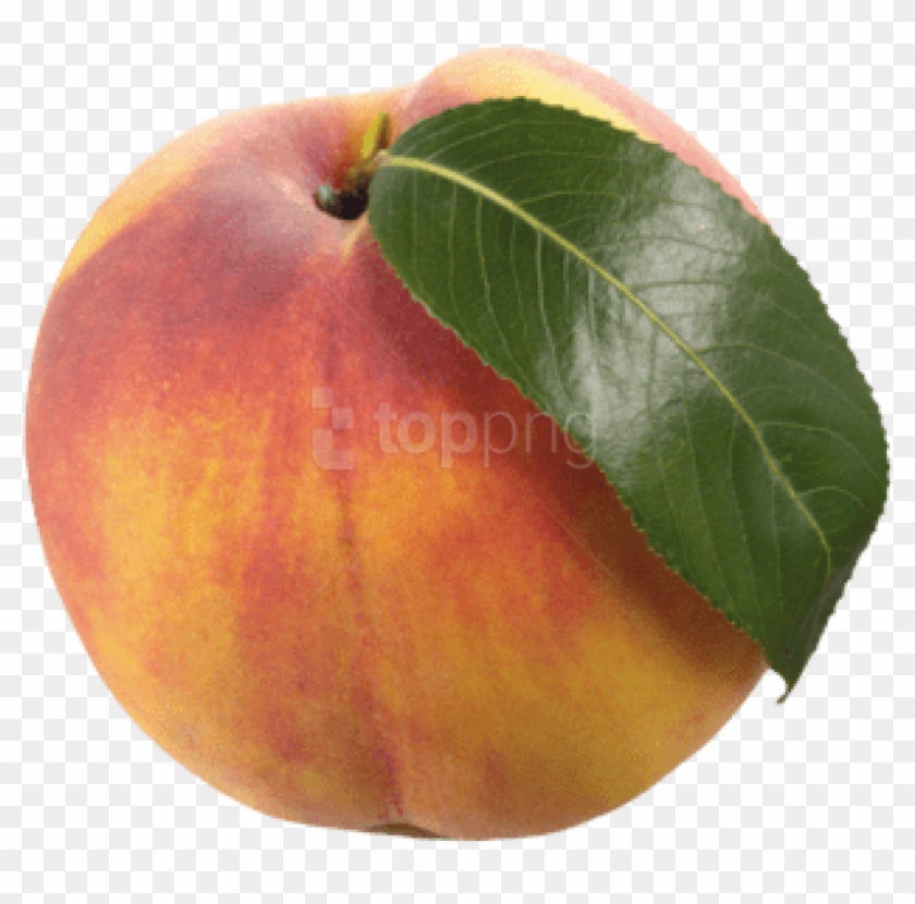 Free Png Peach With Leaf Png Images Transparent - Apricot Clipart #3034527