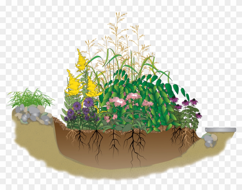 "a Rain Garden Is An Attractive, Sunken Landscape Bed - Rain Garden Clipart - Png Download #3034899