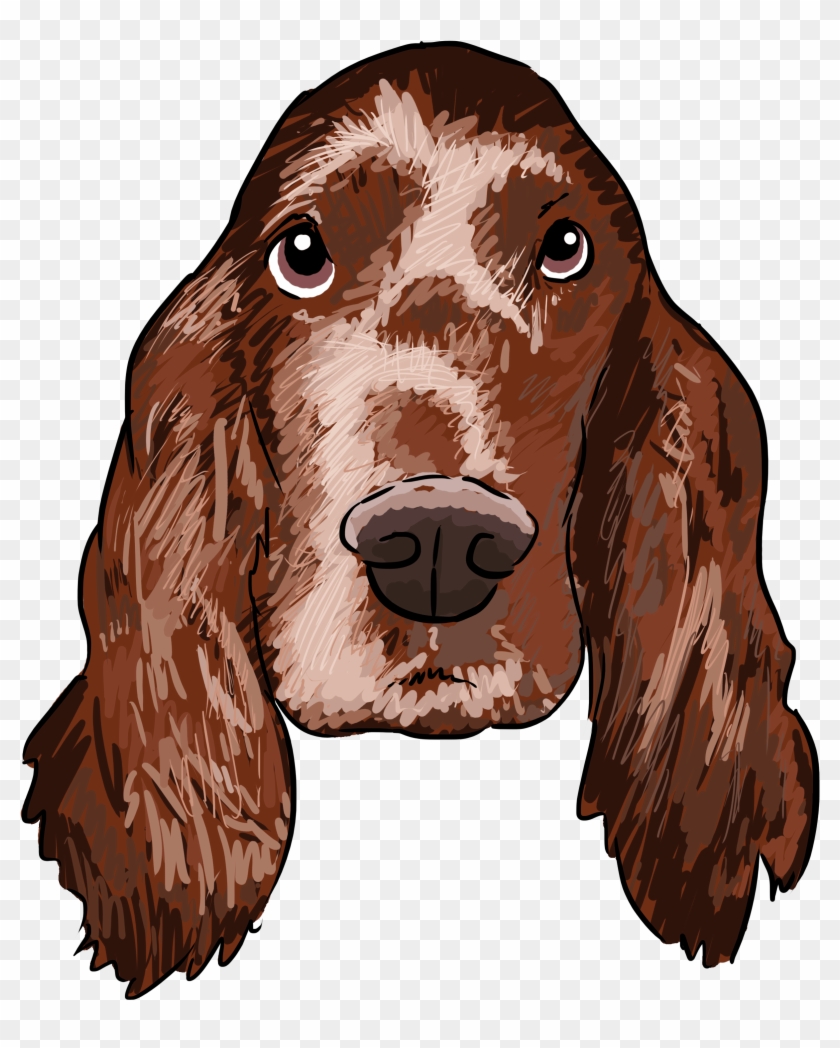 Irish Setters, Why Are You A Dog On This Weeks Show - Irish Setter Png Clipart #3035259