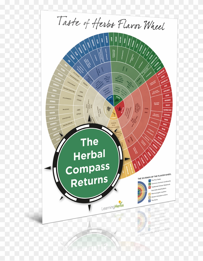 How To Choose The Right Herb For The Right Person With - Flavor Wheel Of Herbs Clipart