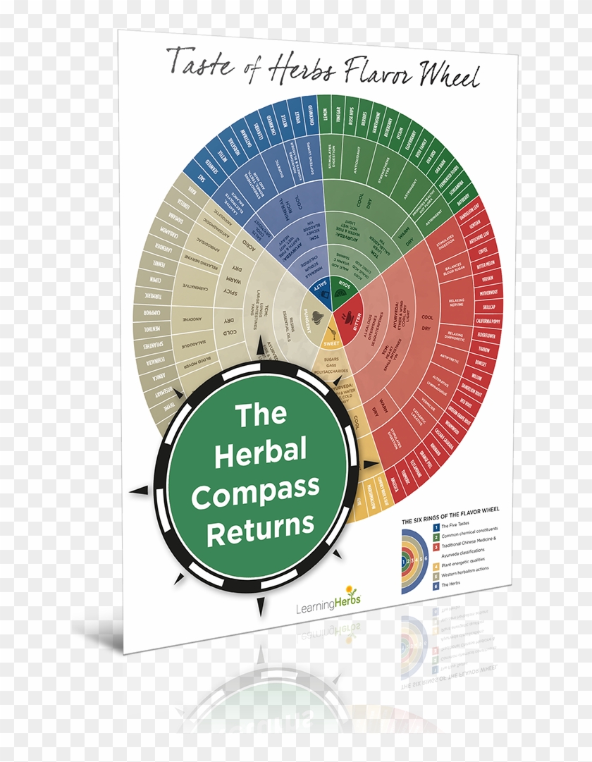 How To Choose The Right Herb For The Right Person With - Flavor Wheel Of Herbs Clipart #3035755