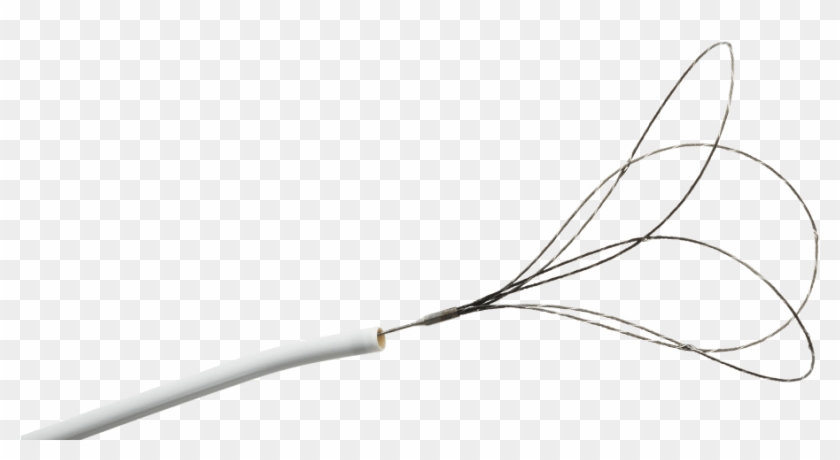 Snare Endovascular Clipart