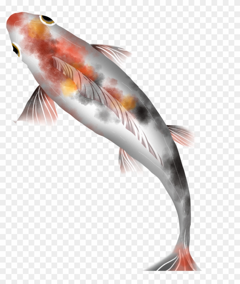 Ink Chinese Style Element Illustration Koi Png And - Koi Clipart