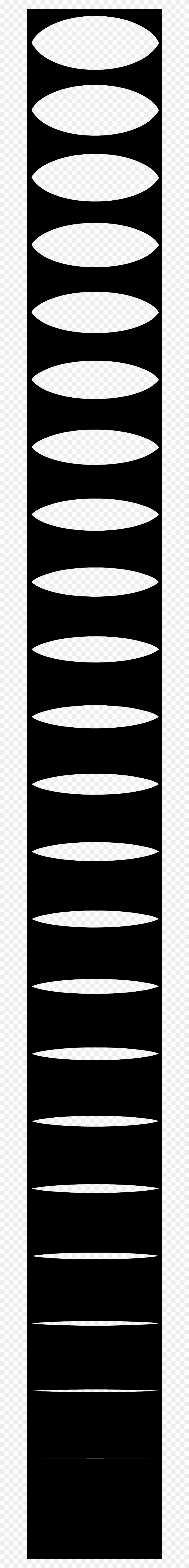 Circle Clipart #3036362