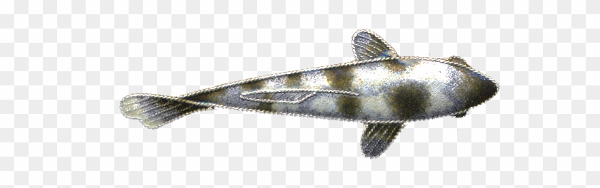 0016pin - Bass Clipart #3036369