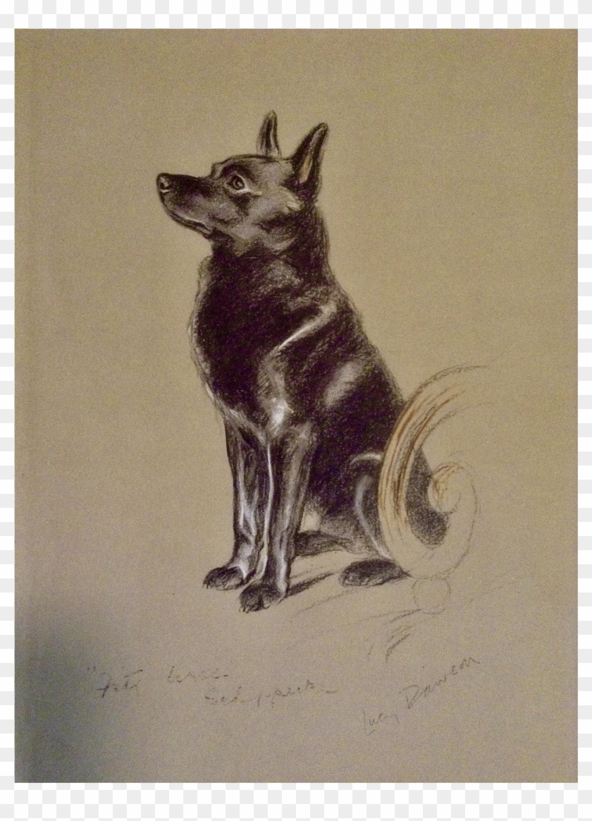 1930's-1940's Lucy Dawson, Schipperke Named Peter Framed - Black Norwegian Elkhound Clipart #3036788