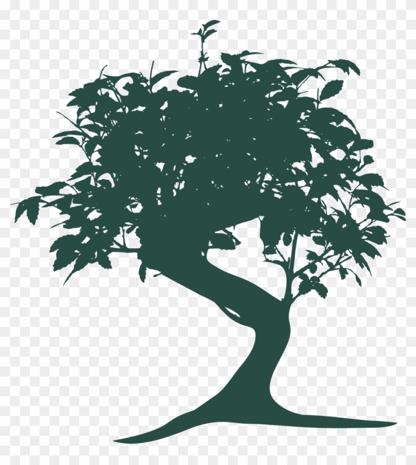 Bonsai Tree Nature Oriental Png Image - Bonsai Tree Vector Png Clipart #3036844