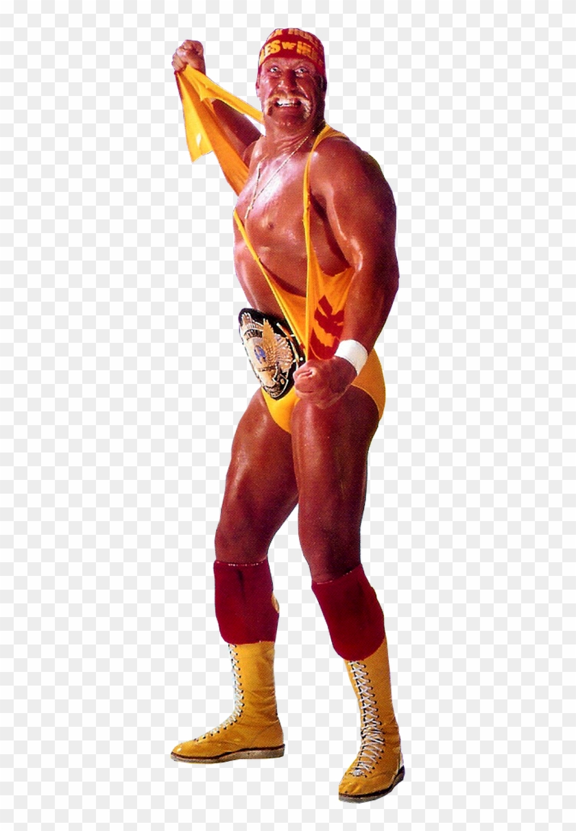 Seizing The Moment, Savage Climbed To The Top Turnbuckle, - Wwe Hulk Hogan Png Clipart