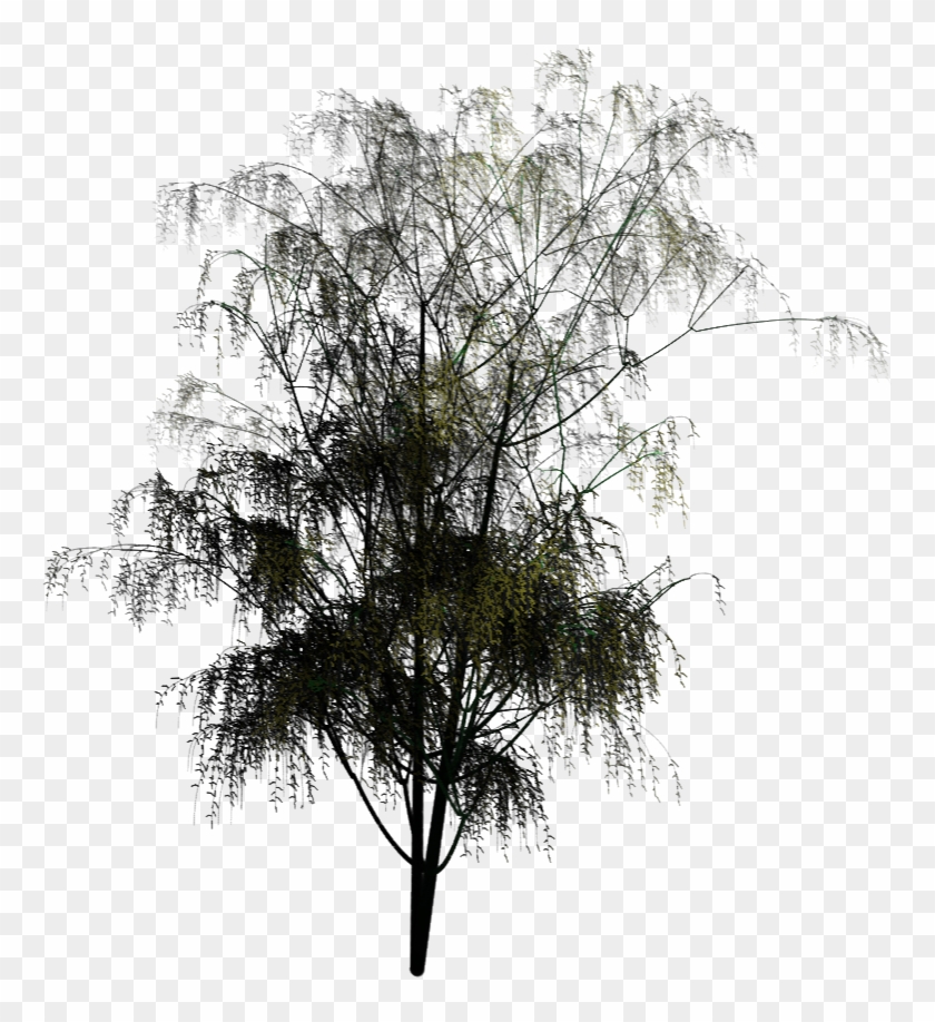 Feel Free To Use The Above Royalty-free Clipart