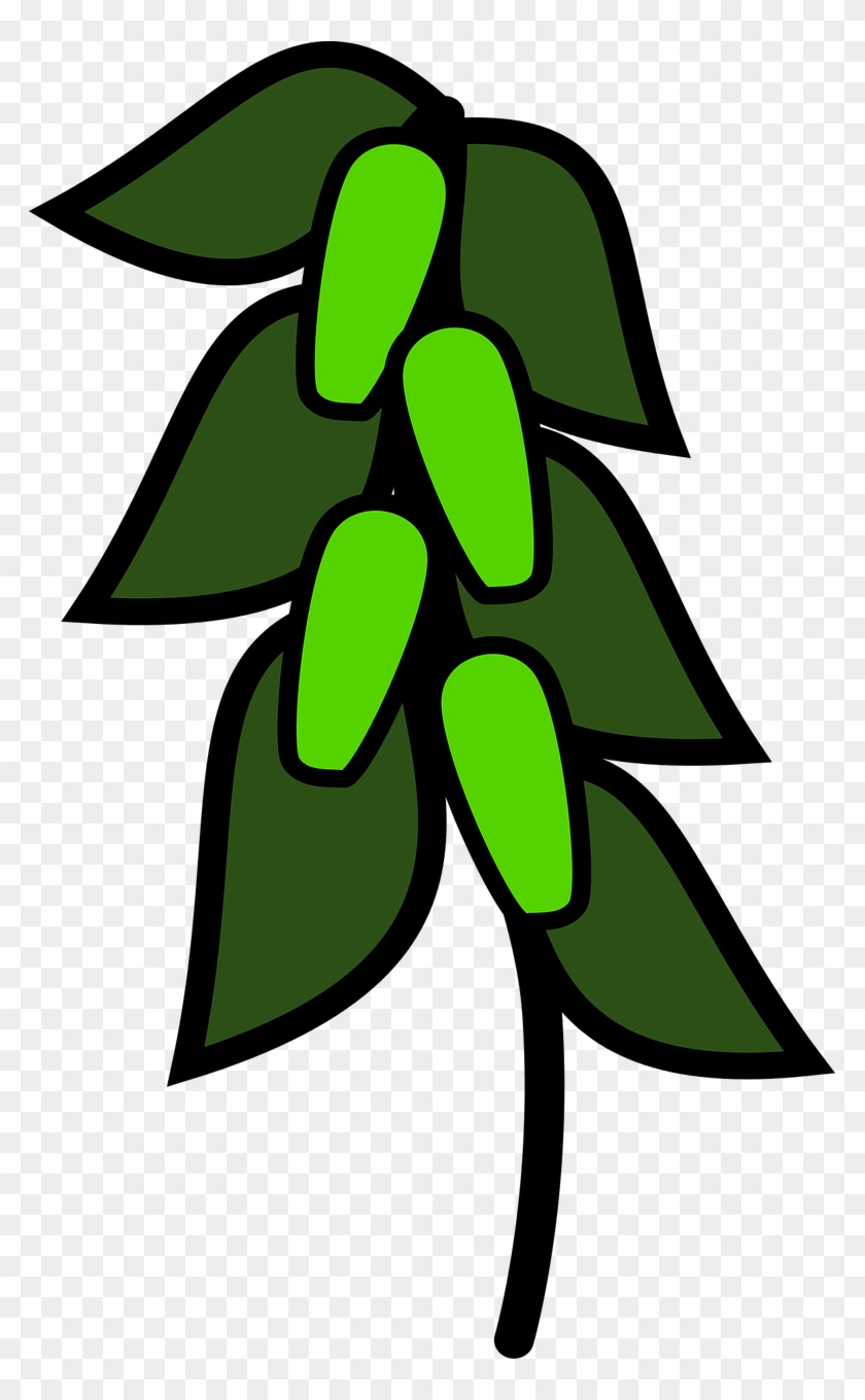 Icon Green Peas Plants Png Image Clipart